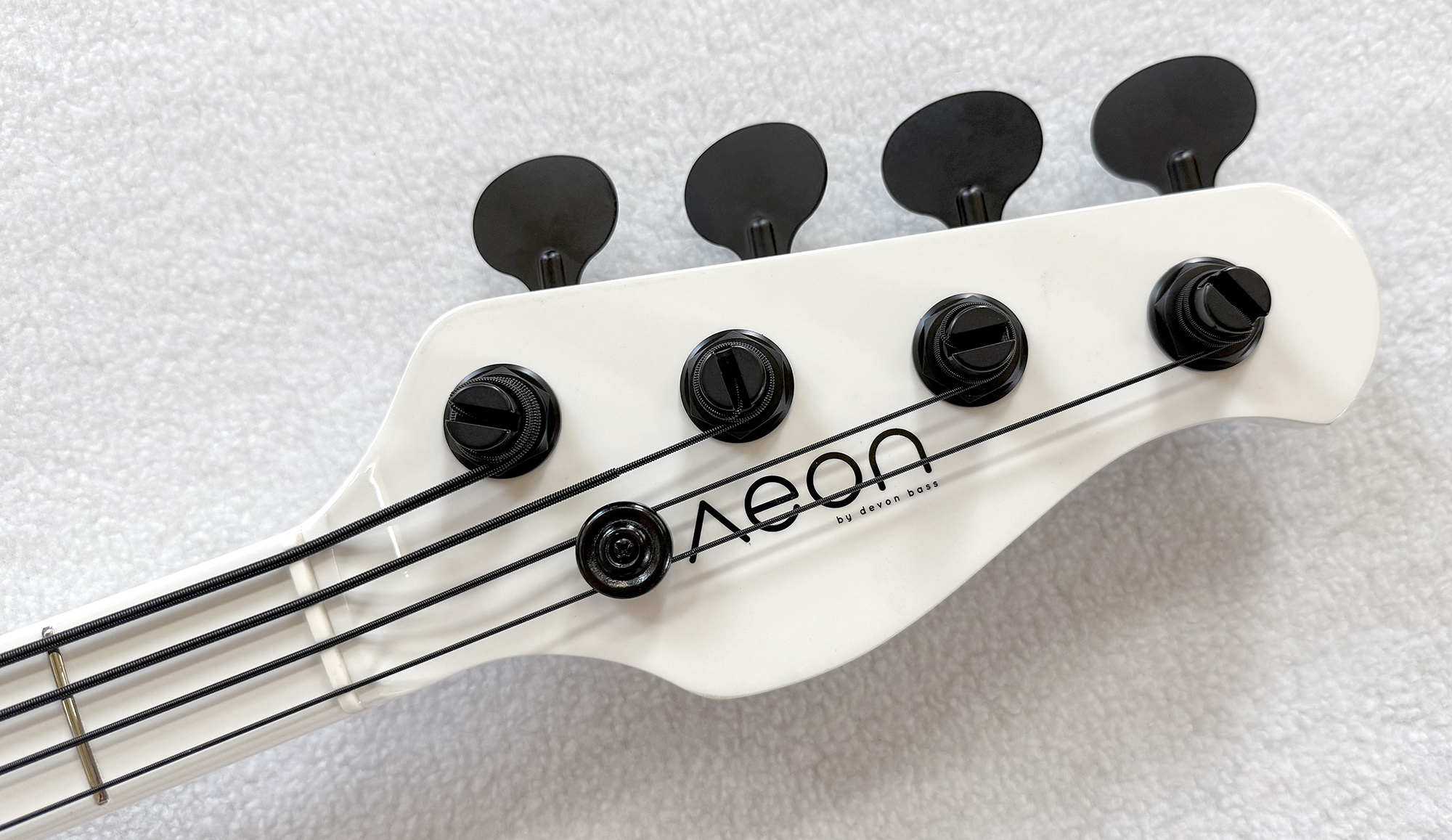 bass photo
