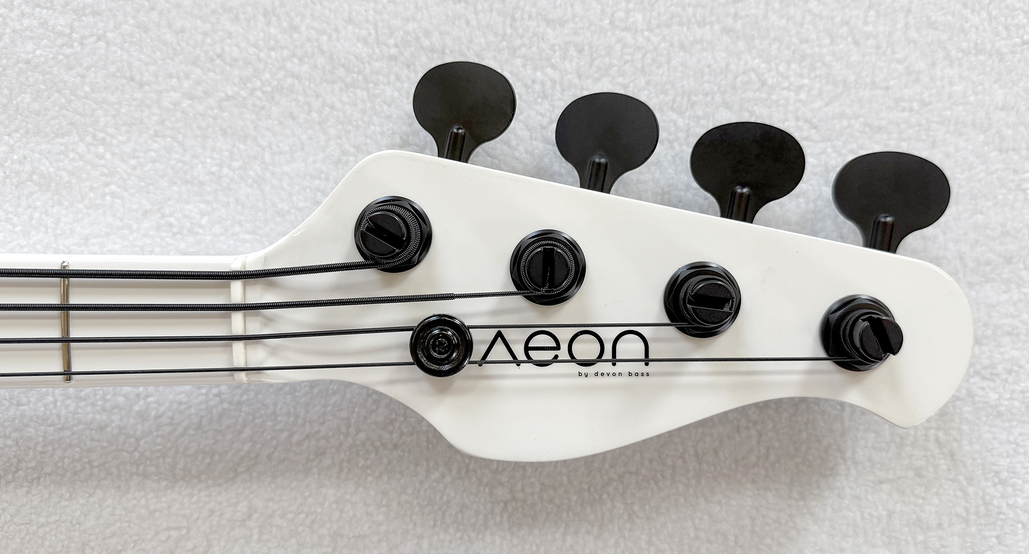 bass photo