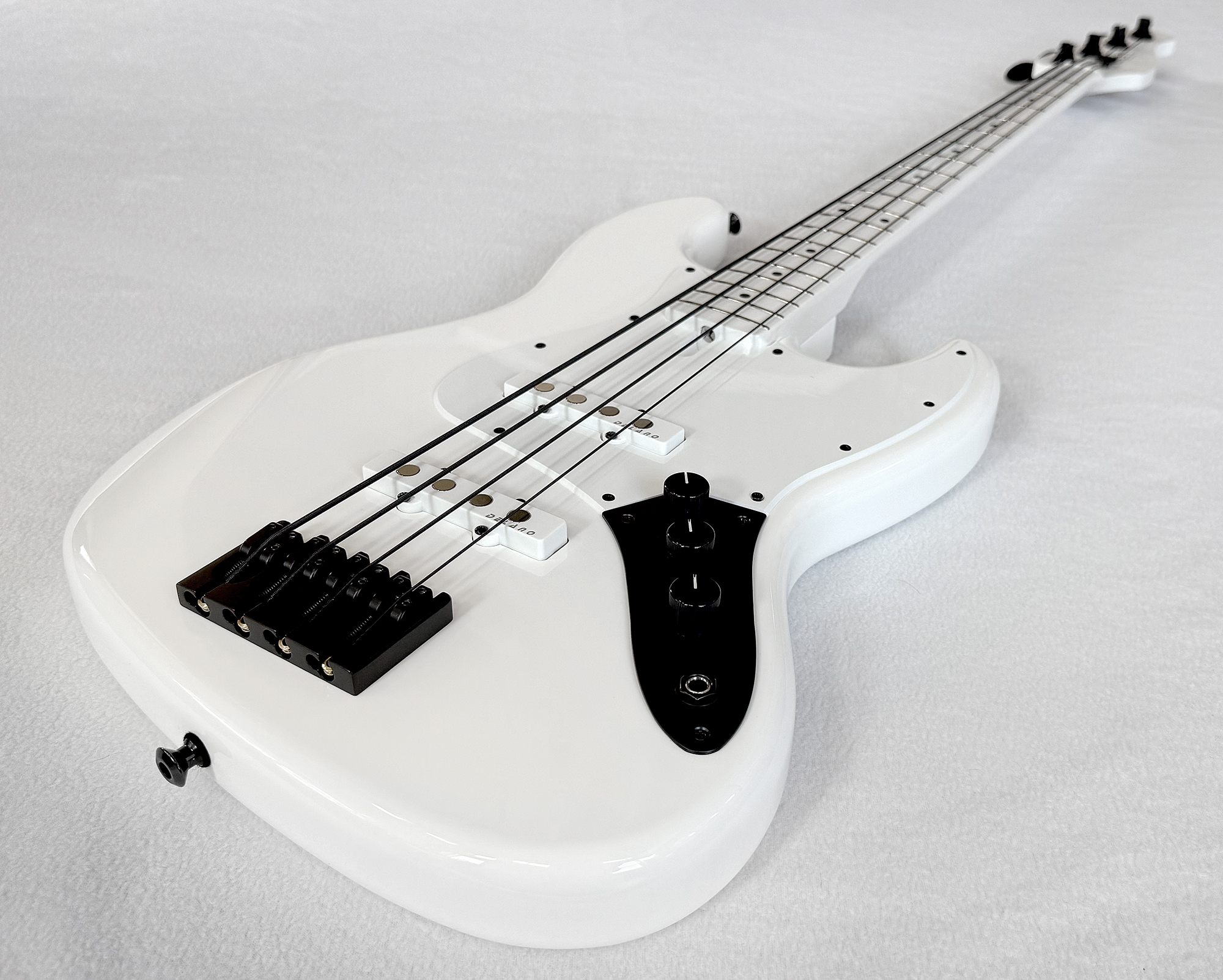 bass photo