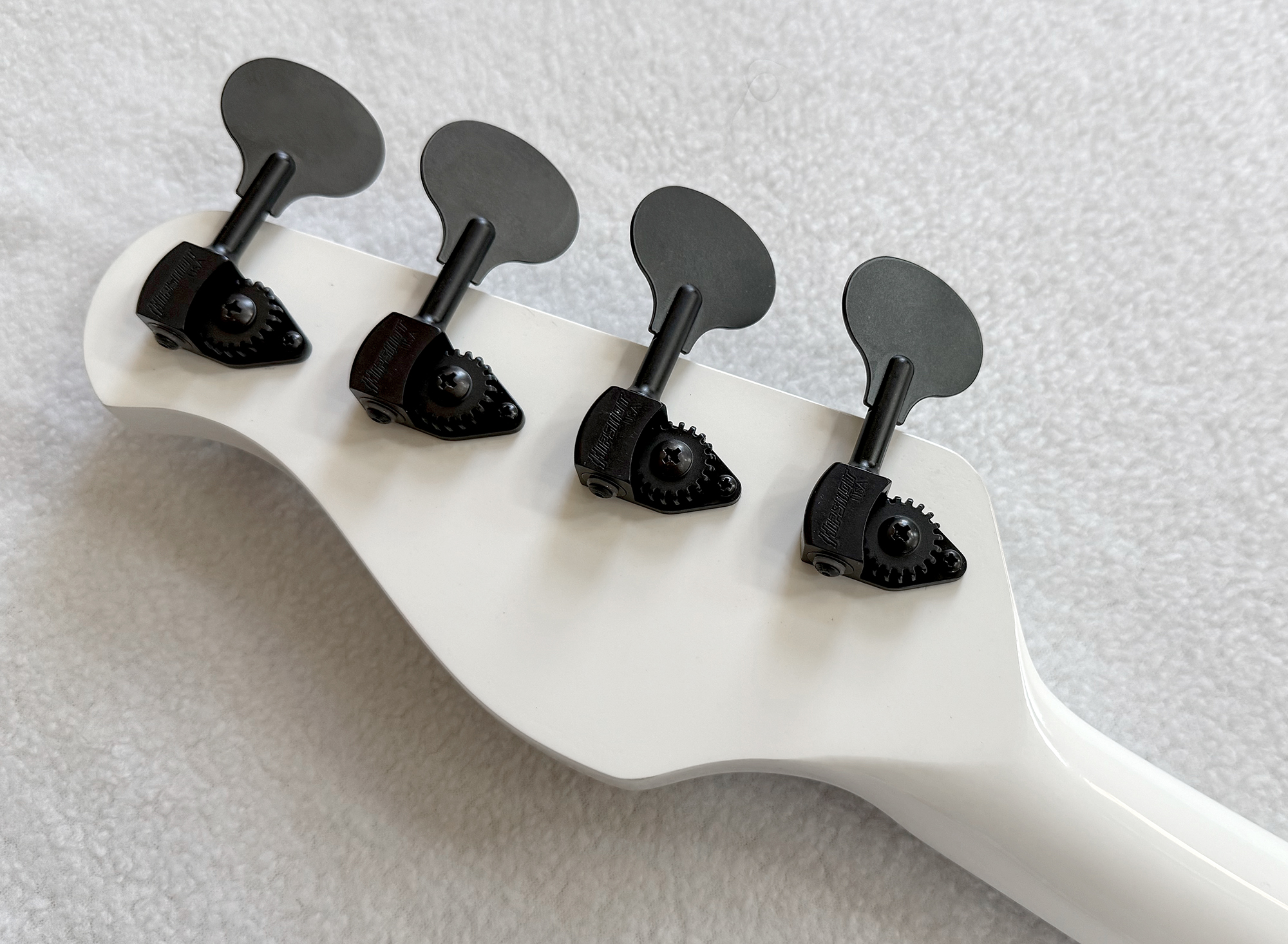 bass photo